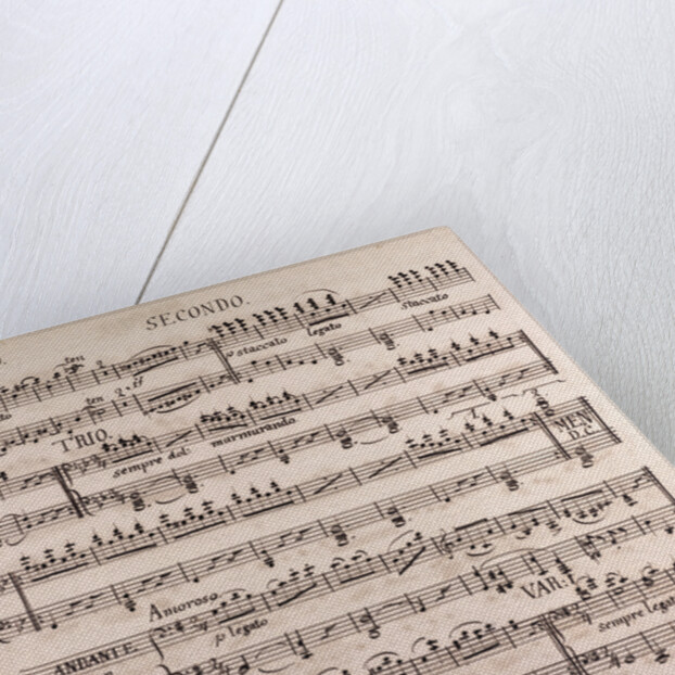 Handwritten sheet music, menuetto presto, amoroso, andante by Anonymous