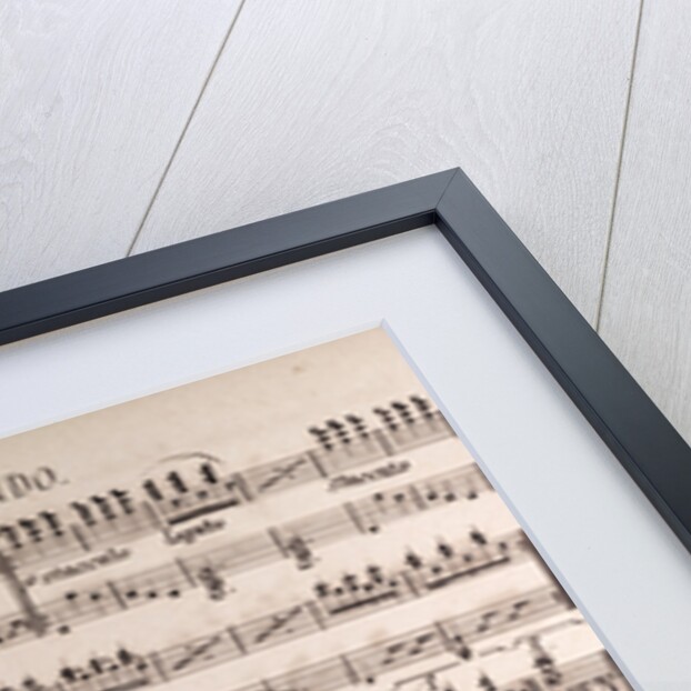 Handwritten sheet music, menuetto presto, amoroso, andante by Anonymous