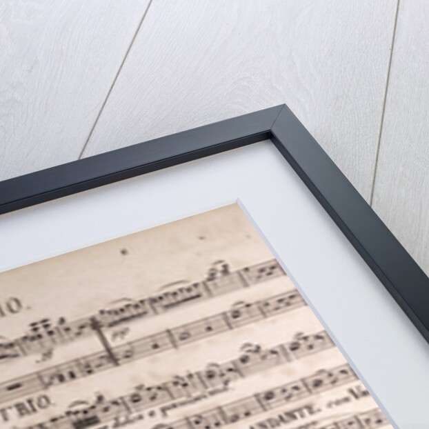 Handwritten sheet music, menuetto presto by Anonymous