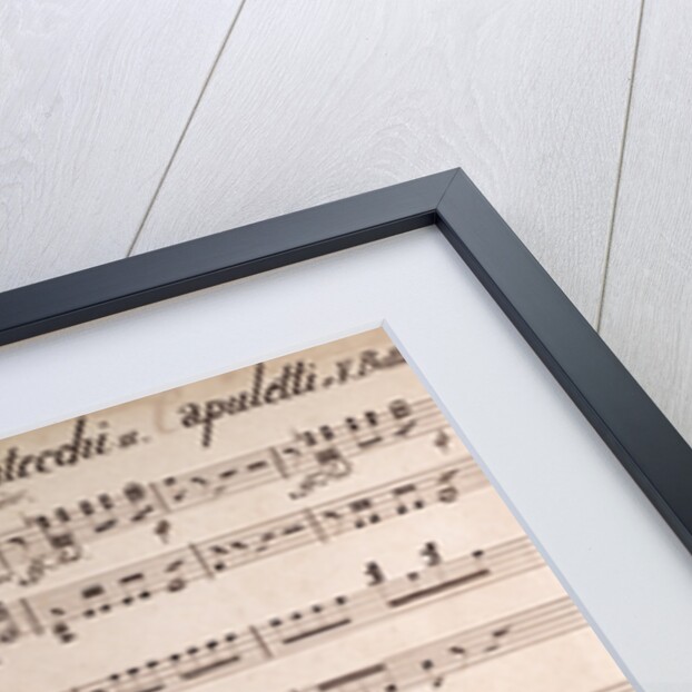 Ouverture of the Opera Die Montecchi and apuletti from Bellini, handwritten sheet music by Anonymous