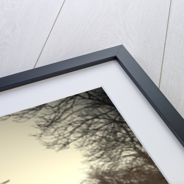 Wharf Cottage, Tibshelf Wharf by Sarah Smith