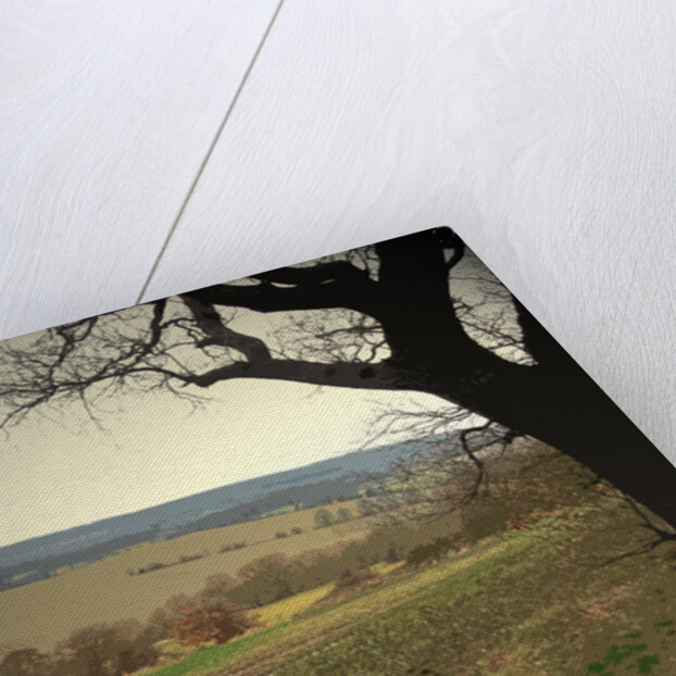 Rural Scene to the North of Sheffield by Sarah Smith