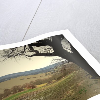 Rural Scene to the North of Sheffield by Sarah Smith