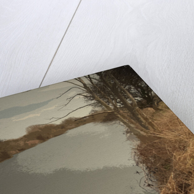 The River Derwent near Alvaston by Sarah Smith