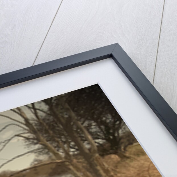 The River Derwent near Alvaston by Sarah Smith