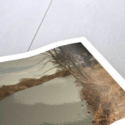 The River Derwent near Alvaston by Sarah Smith