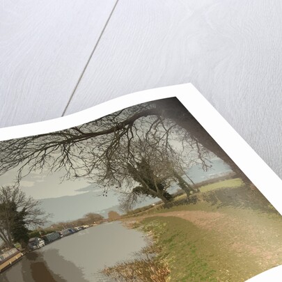Trent and Mersey Canal near Chapel Farm by Sarah Smith