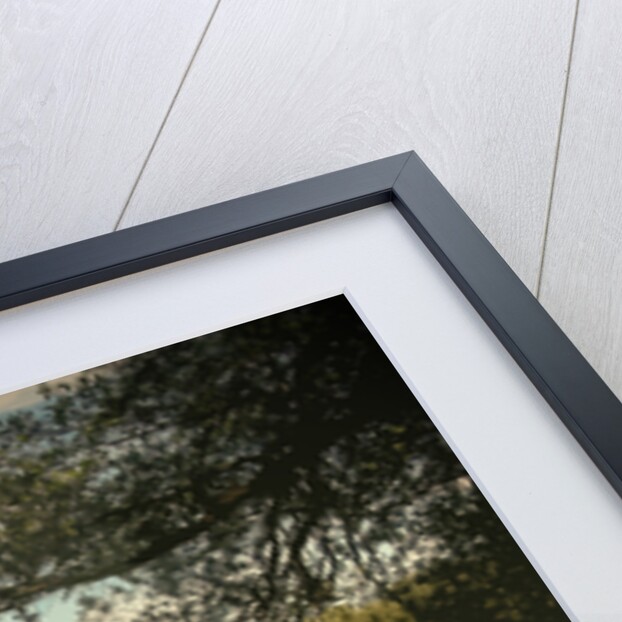 The Lake in Locko Park by Sarah Smith