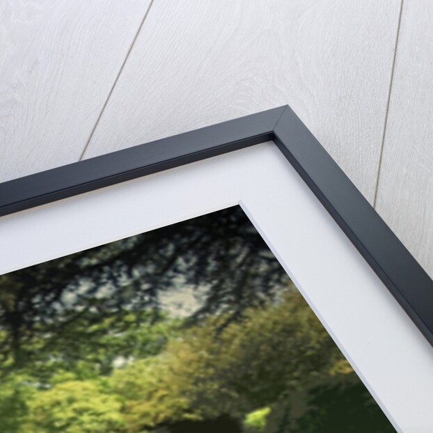 Herd of Cows on Morley Lane in Stanley by Sarah Smith