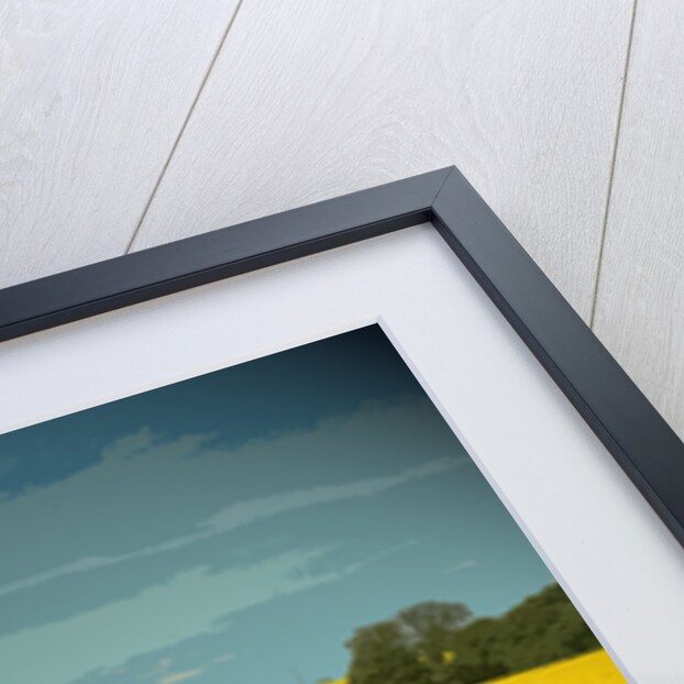 Oil Seed Fields near Morley by Sarah Smith