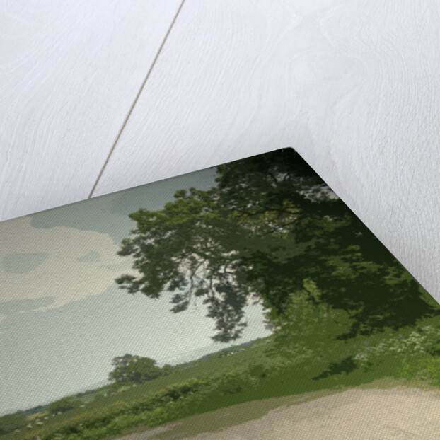 The Bonnie Prince Charlie Walk at Lees by Sarah Smith