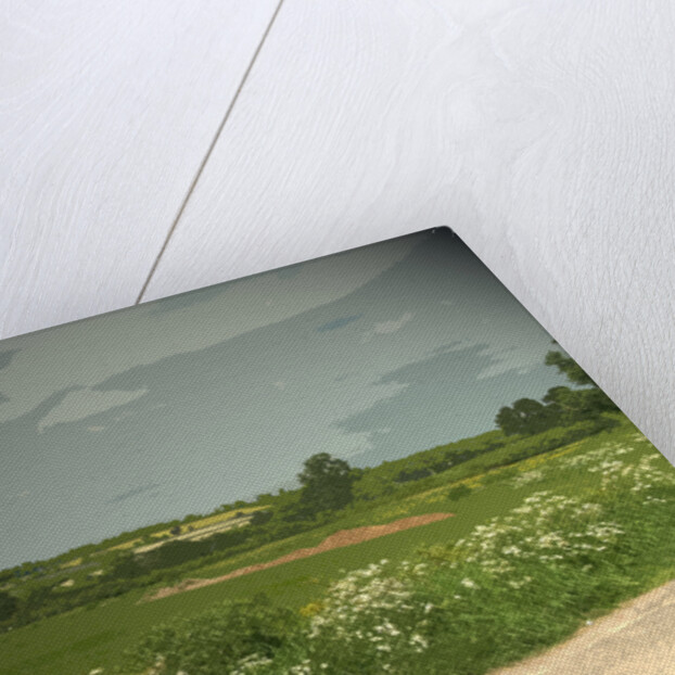 Summer Countryside viewed from Brun Lane by Sarah Smith