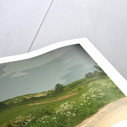 Summer Countryside viewed from Brun Lane by Sarah Smith