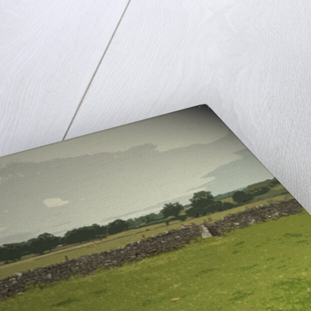 The Limestone Way near Thorpe by Sarah Smith