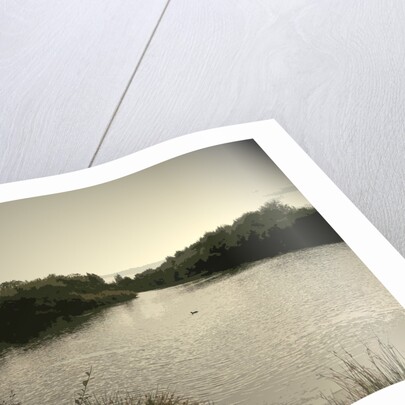 Pond near Moorway Lane by Sarah Smith
