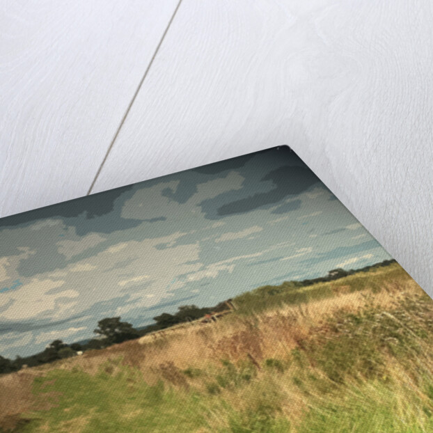 Path near Leasaws Farm by Sarah Smith