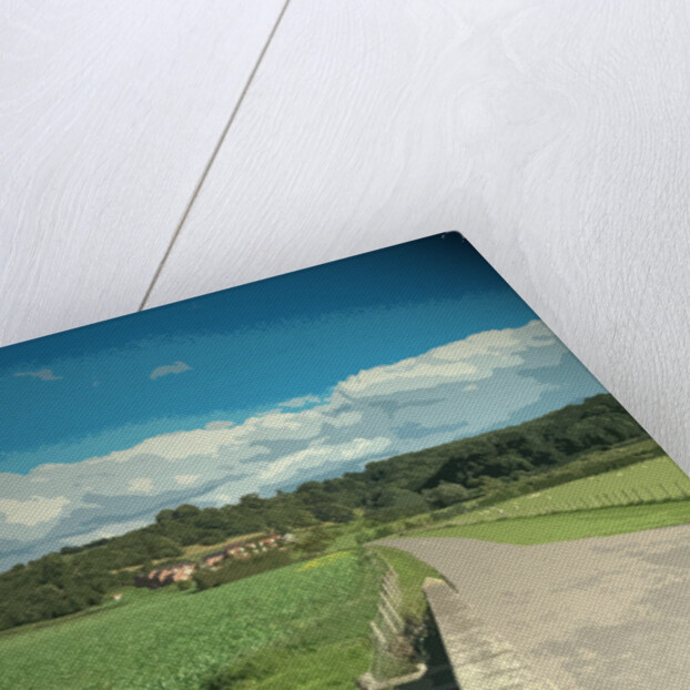 View Towards Eaton Dovedale by Sarah Smith