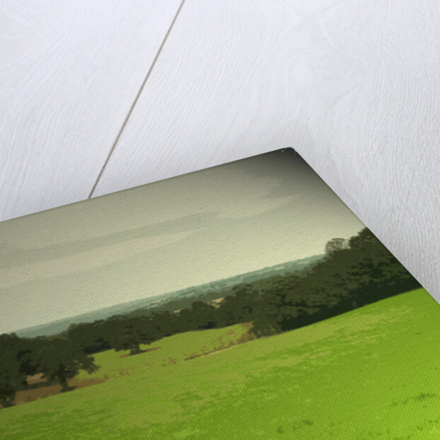 The Limestone Way by Sarah Smith