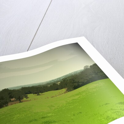 The Limestone Way by Sarah Smith