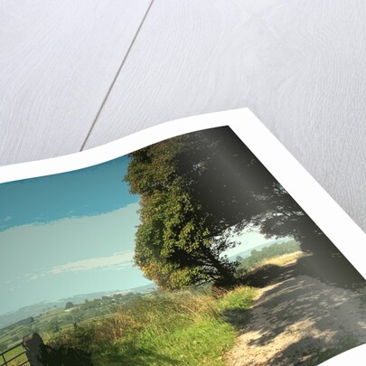 Track and Byway on Madge Hill by Sarah Smith