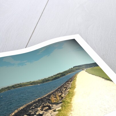 Water's Edge and Path at Carsington by Sarah Smith