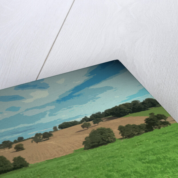 Farmland near Osmaston by Sarah Smith