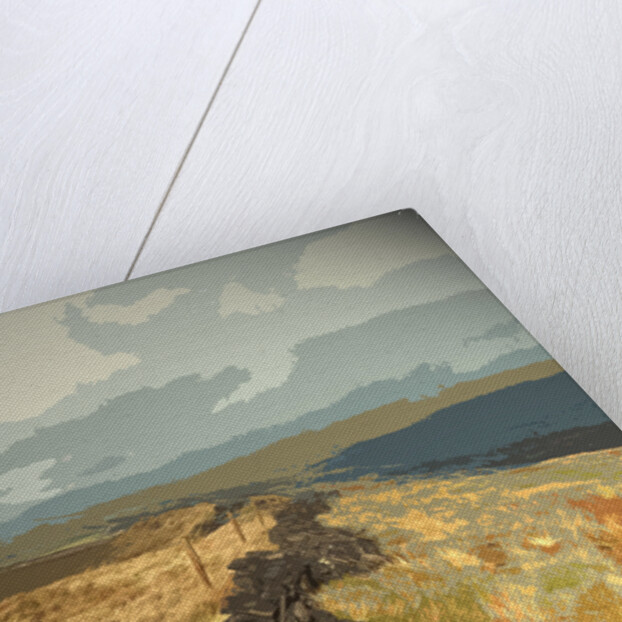 Ridge between Cats Tor and Pym Chair by Sarah Smith