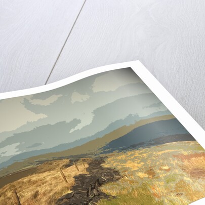 Ridge between Cats Tor and Pym Chair by Sarah Smith