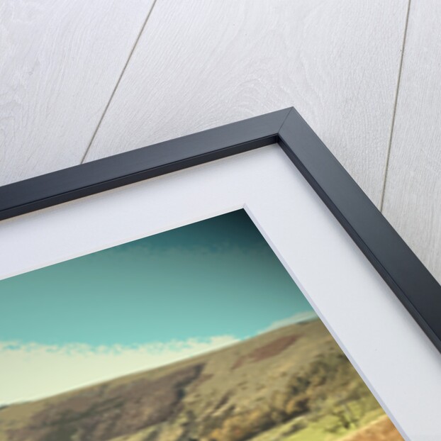 Footpath and Track at Woodseats by Sarah Smith