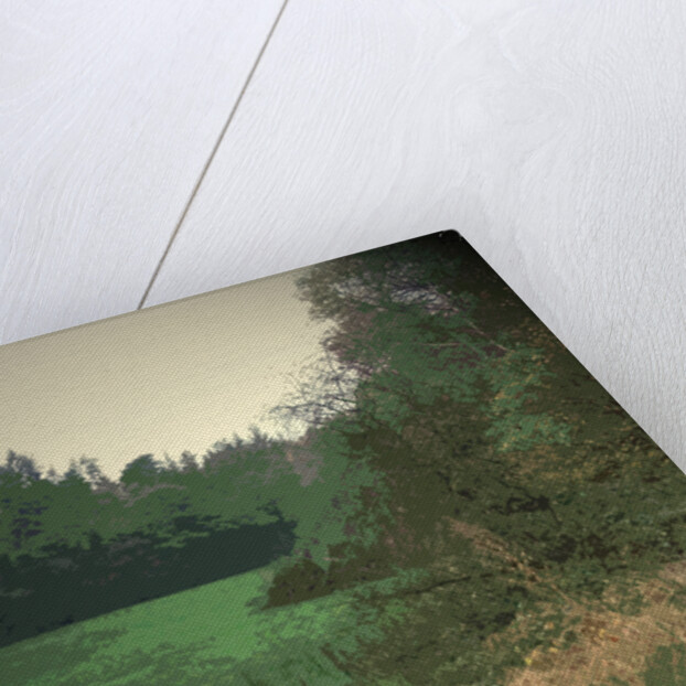 Riverside Clearing in Shallcross Wood by Sarah Smith