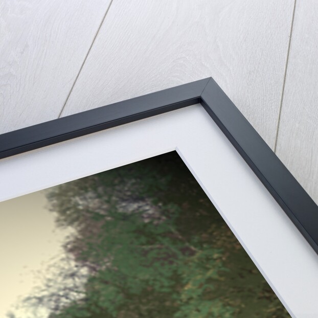 Riverside Clearing in Shallcross Wood by Sarah Smith