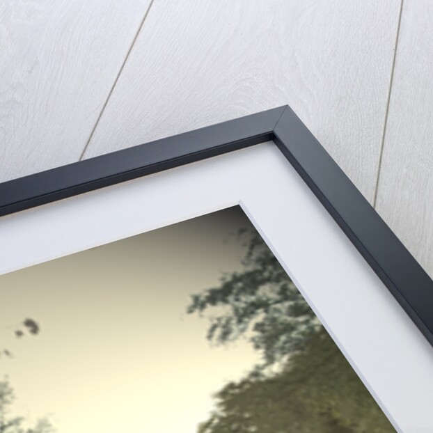 The Trent and Mersey Canal by Sarah Smith