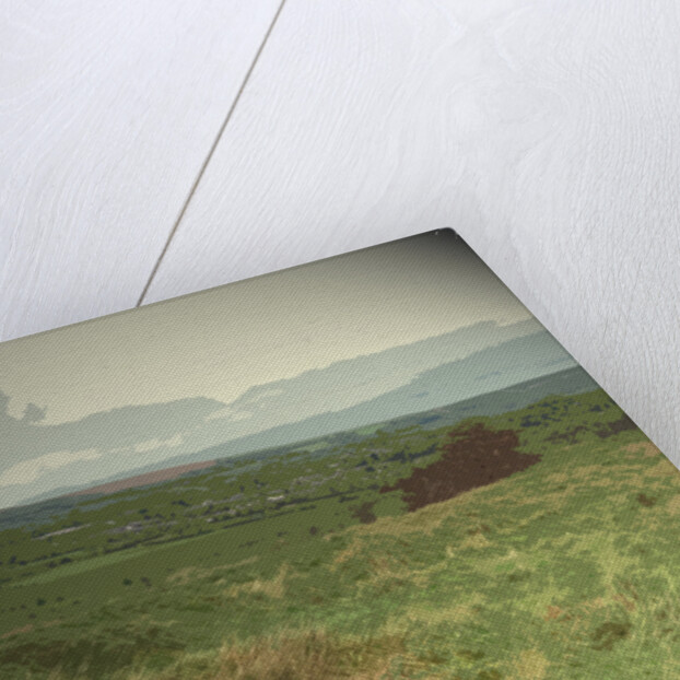 Earthwork at Melandra Castle by Sarah Smith