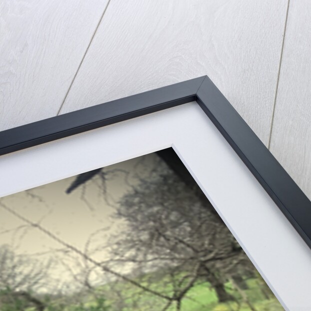 Swallows Wood by Sarah Smith