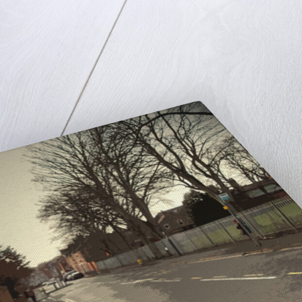 Mill Hill Lane in Derby by Sarah Smith