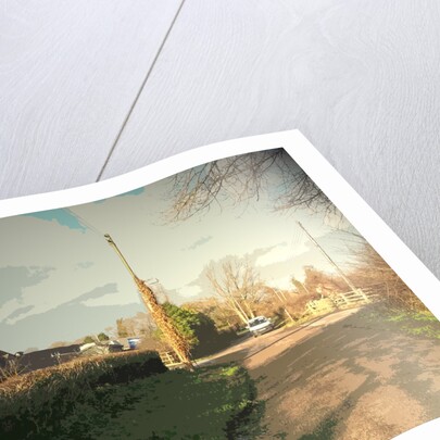 Malthouse Lane in Hatton by Sarah Smith