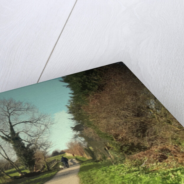 Dog-walker on Former Canal Route by Sarah Smith