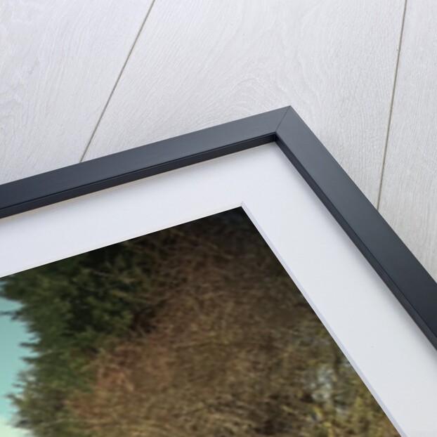 Dog-walker on Former Canal Route by Sarah Smith