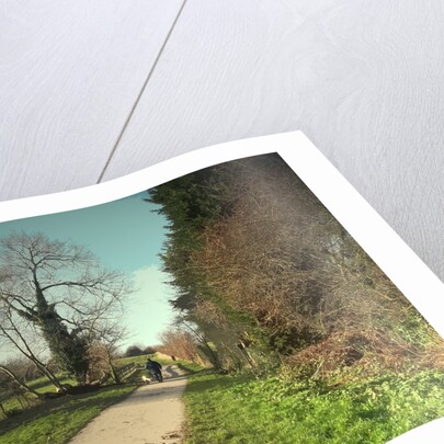 Dog-walker on Former Canal Route by Sarah Smith