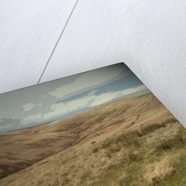 Crowden Brook from Loft Intake by Sarah Smith