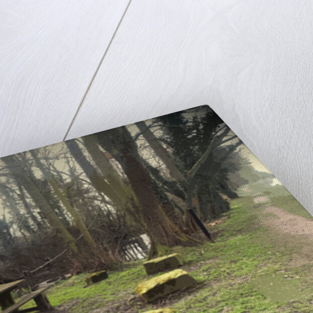 Rest Point at Ballast Hole Pond by Sarah Smith
