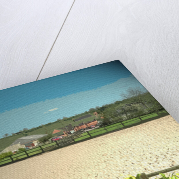 The Beeches by Sarah Smith