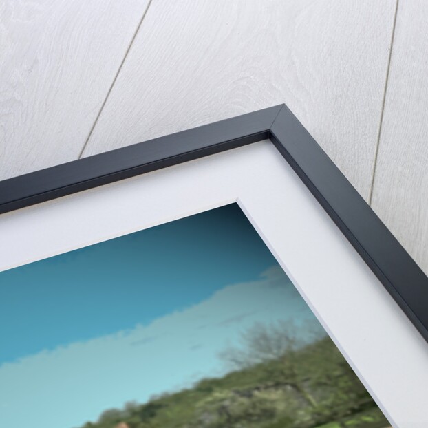 The Beeches by Sarah Smith