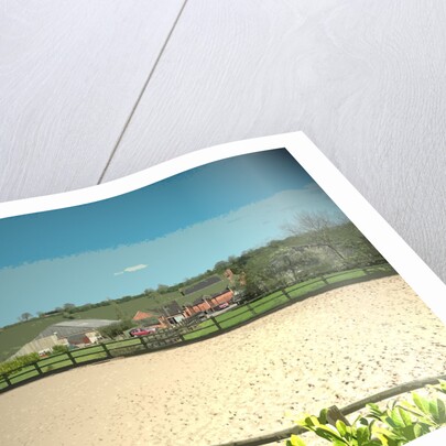 The Beeches by Sarah Smith