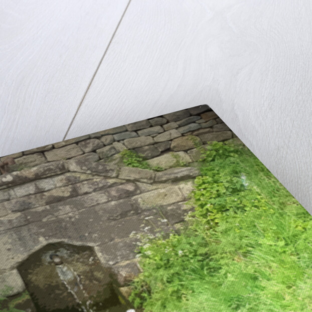 Unfailing Spring near Hazelwood Hall by Sarah Smith