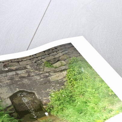 Unfailing Spring near Hazelwood Hall by Sarah Smith