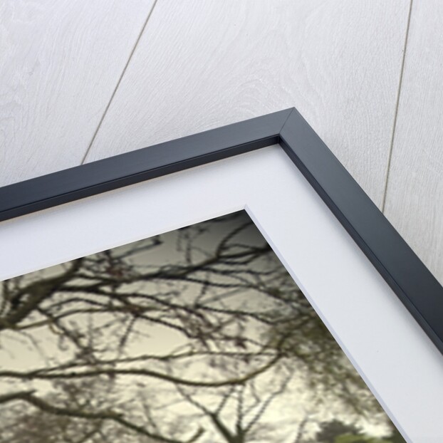 Remains of Duffield Castle by Sarah Smith