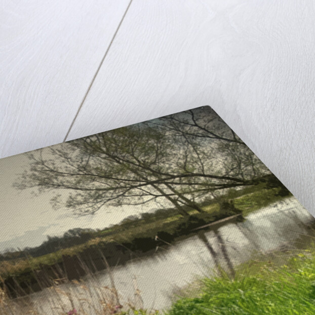 Longford Brook by Sarah Smith