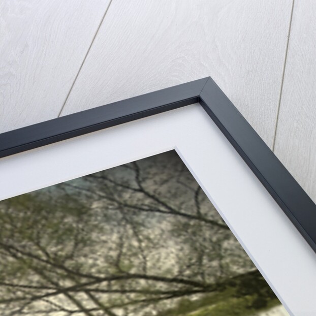 Longford Brook by Sarah Smith