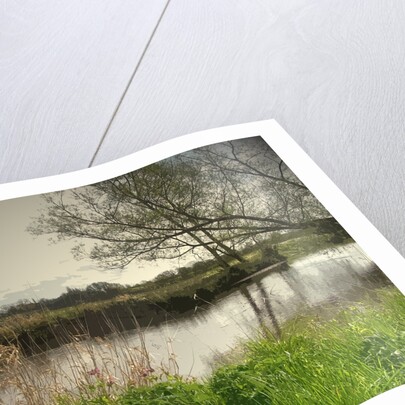 Longford Brook by Sarah Smith